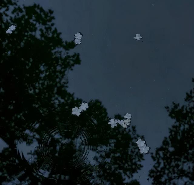 微信壁纸图片大全，微信背景图片（微信朋友圈背景图<60张>）