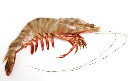 基围虾的做法有几种哪种最好吃，基围虾的四种经典做法