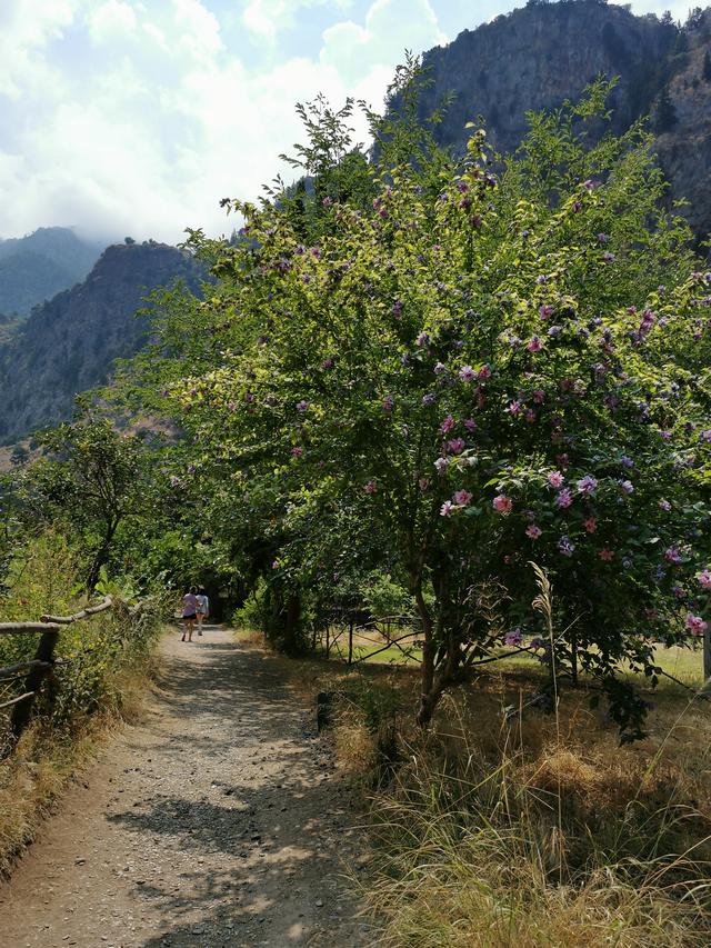 Diviner(占卜者)网名，Diviner(占卜者)微信昵称（环游土耳其<21>）