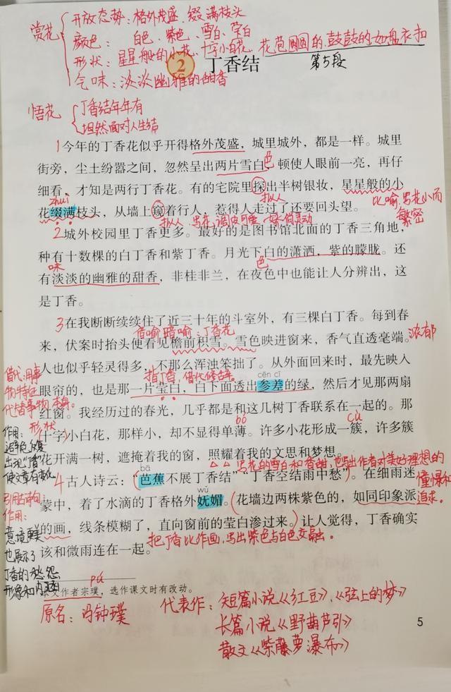 丁香结主要内容，丁香结的主要内容（部编版六上语文第二课丁香结手写笔记、重难点精讲及考点分析）