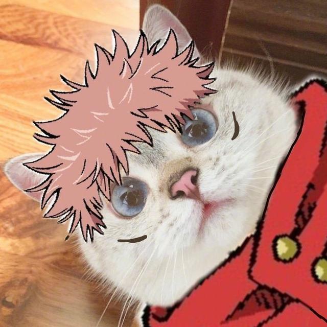 加菲猫图片卡通，一组加菲猫头像‖成年人也只是过期了的小盆友呀.微信（橘猫形态两面宿傩）