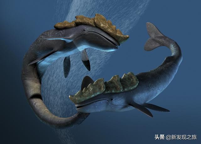 原核生物有哪些，高中生物原核生物有哪些（从原核生命到人类文明）