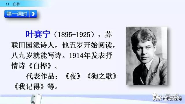 悠扬的近义词，“悠扬”的近义词是什么（四年级下册语文第11课《白桦》图文详解及同步练习）