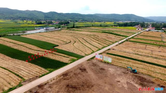 赤松茸是不是松茸，赤松茸的种植栽培技术（黑土地里种出软“黄金”）