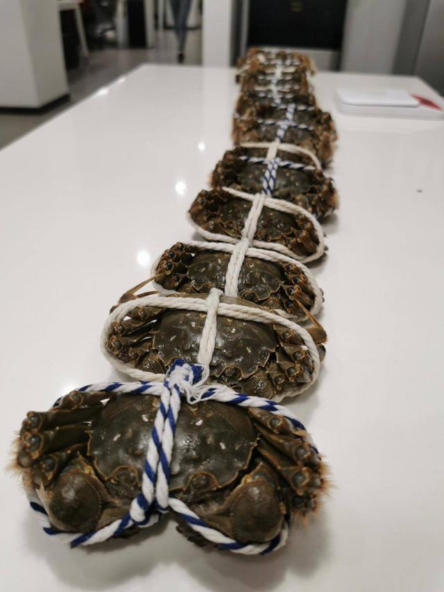 螃蟹喜欢吃什么，螃蟹吃什么（公蟹好吃还是母蟹好吃）