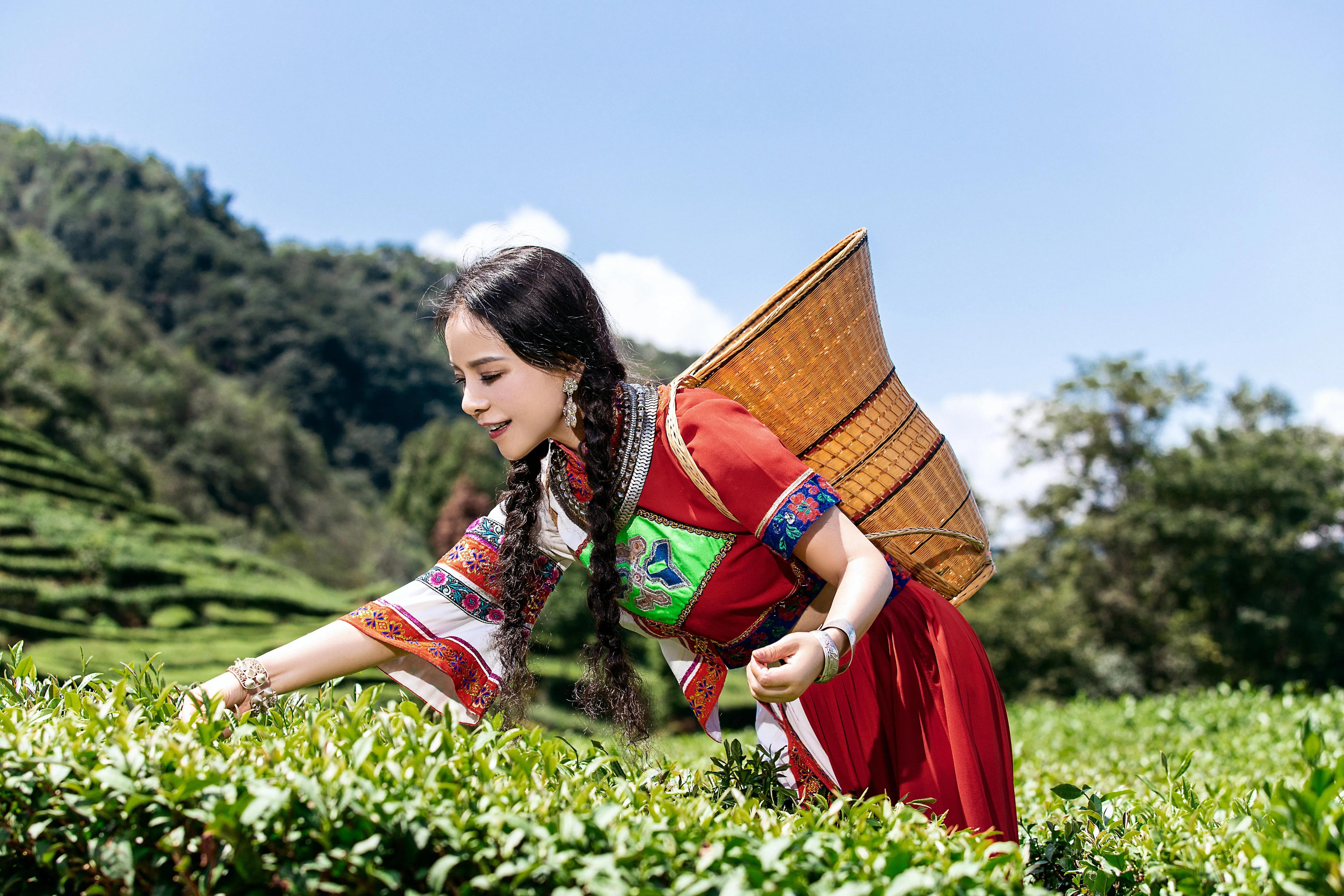 土家幺妹简谱图片