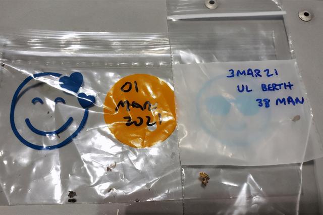 臭虫长什么样图片，臭虫长什么样（美军一核潜艇闹臭虫一年）