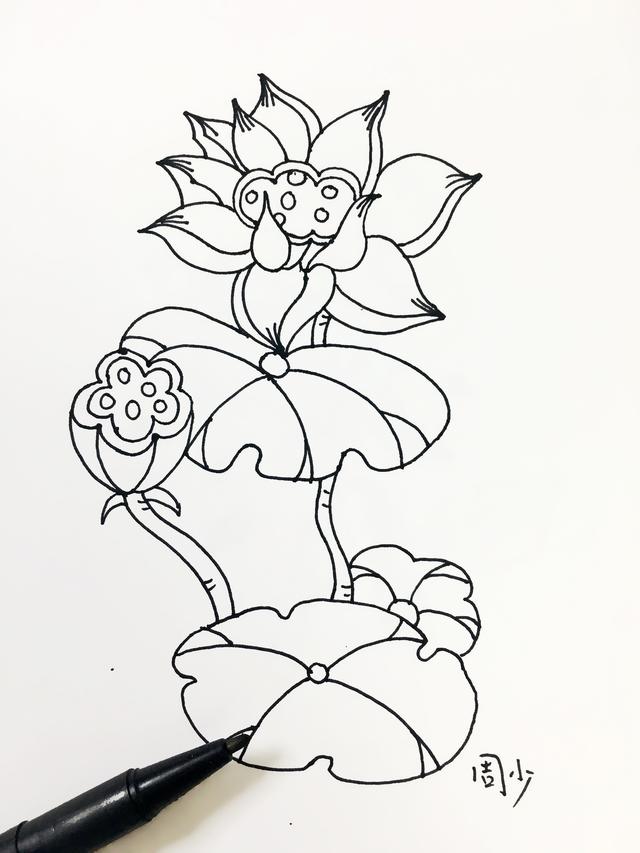 简笔画入门10张，一组零基础学员荷花简笔画作品