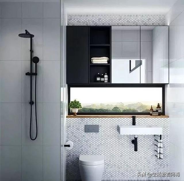 霸王芋，卫生间潮湿、发霉、不通风（霸王芋的养殖方法和注意事项）