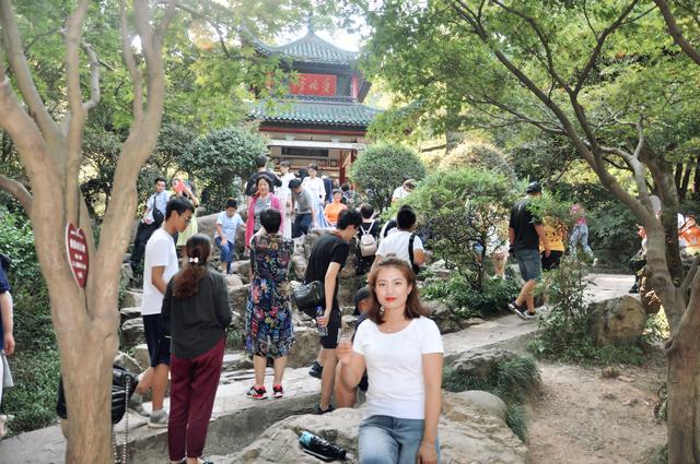 重阳节时吟诵的诗句，重阳节诗词歌赋（请带着孩子一起赏读60首最美重阳诗词）