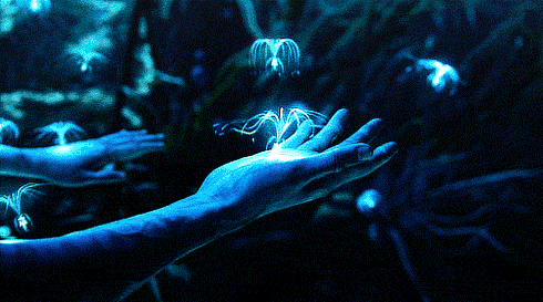 全球票房最高的电影，全球票房最高100部电影排行榜​（全球票房最高的十部电影）