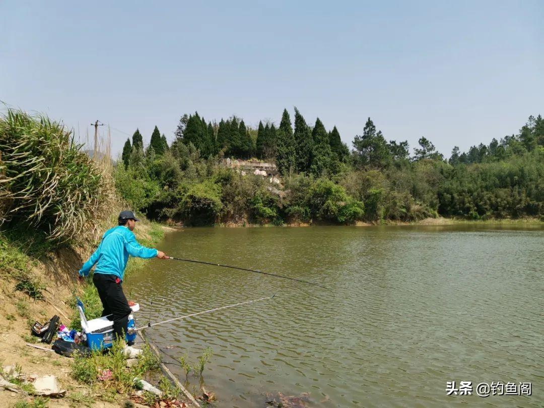 新手必看：最快最简调漂法，轻松上手不迷茫，钓鱼入门其实没那么难！