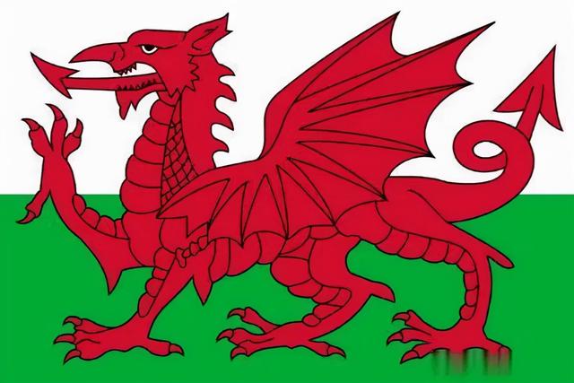 葱烧海参三种家常做法分享，葱烧海参的做法最正宗的做法（国家葱油地理：葱油）