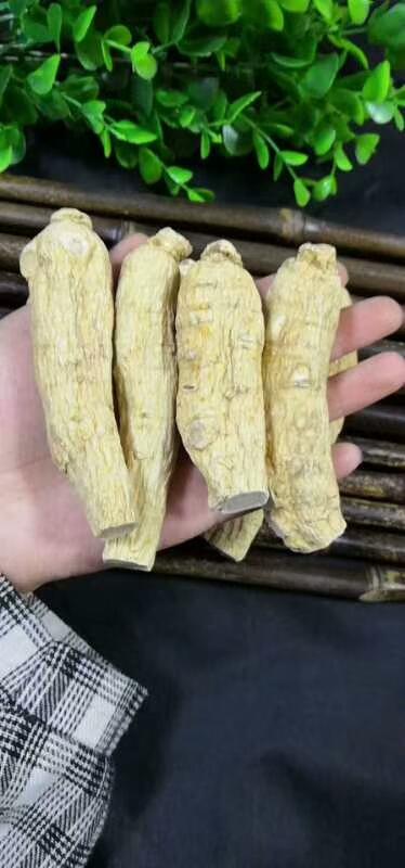 西洋参好坏，西洋参能提高男人性功能吗（西洋参的好坏区分有不懂的下方留言《2》）