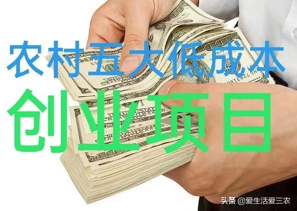 农民创业项目(现在农村最好的创业项目)