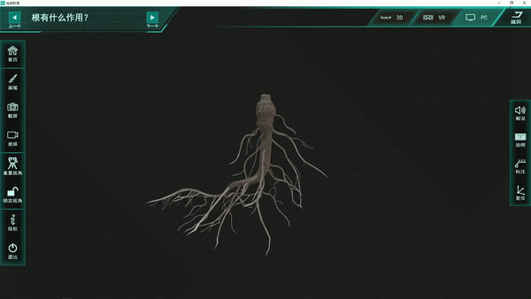 花是植物的什么器官，花是一些植物的什么器官（花是植物的什么器官）