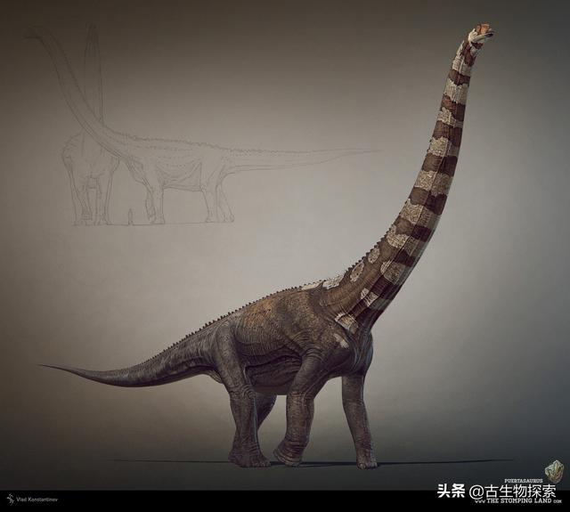 世界上有什么恐龙，世界上有几种恐龙（世界最大恐龙排行榜）