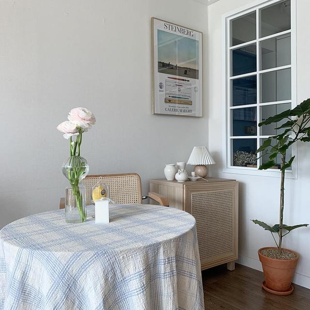 白玫瑰ins，白玫瑰ins风照片（2019年风靡ins的4种装饰鲜花图片）