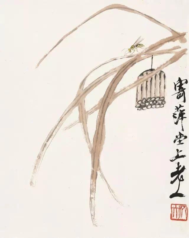 齐白石最擅长画什么，齐白石擅长画什么（齐白石绘画擅长用冲突、矛盾、对比）
