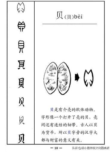 汉字字体的演变，关于汉字的字体的演变（从字源到甲骨文、金文、小篆再到楷书、行书的过程）