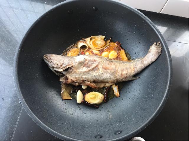 鮸鱼是什么鱼,鮸鱼价格多少钱一斤(这种鱼很少有人见过)