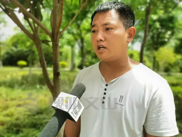 呼我出行司机怎么加入，呼我司机怎样（文山这家网约车司机集体“炸锅”）