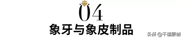 狼牙什么属相的人不能佩戴，不适合带狼牙的属相（这5种动物首饰你还敢戴）