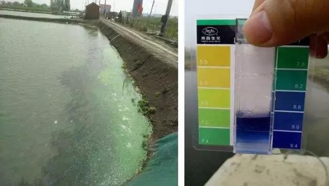 酸雨的ph值，酸雨的ph值范围是（水体酸碱度的相应调节措施你都知道吗）