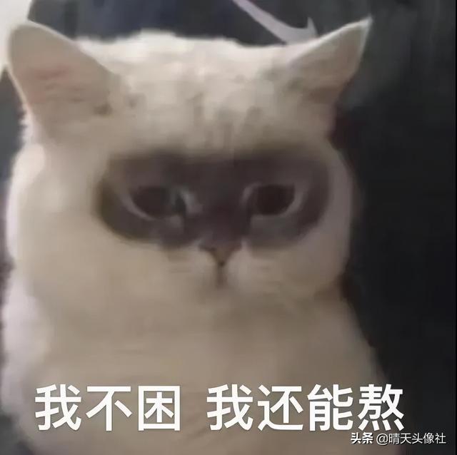 表情包啊啊啊，微信头像，表情包啊啊啊（表情包 ， 女孩就要酷一点）