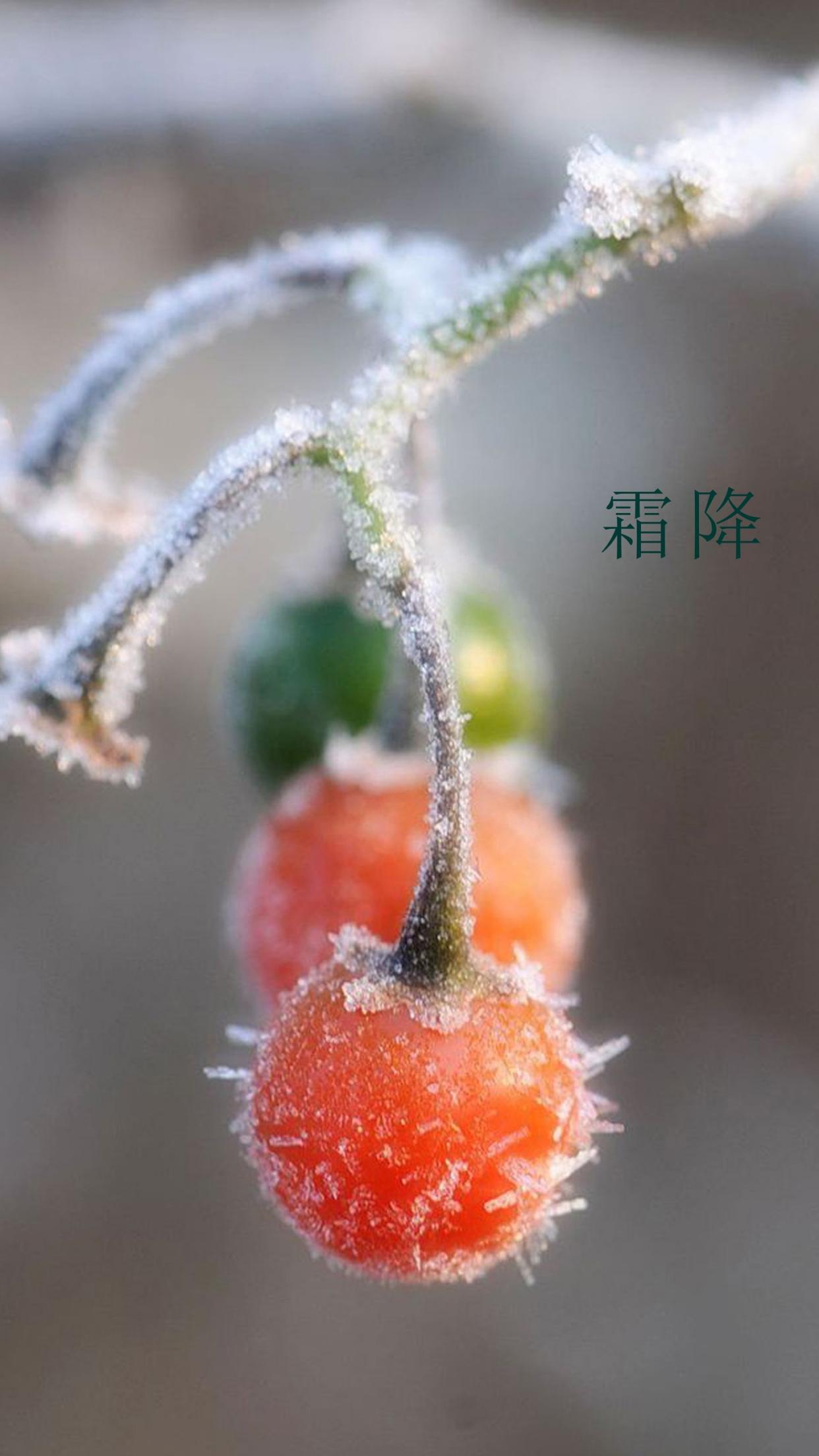 我走在那個蕭瑟的秋天（走在秋天的路上美文）