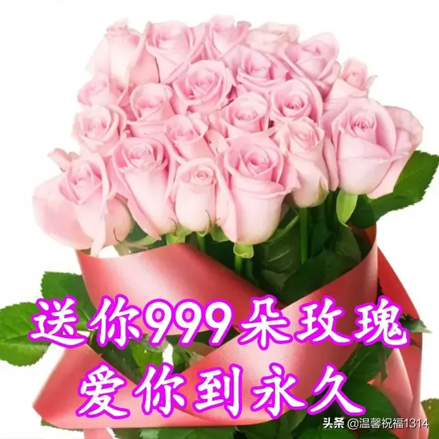 1314祝福语，1314祝福语结婚（3.14白色情人节到了）
