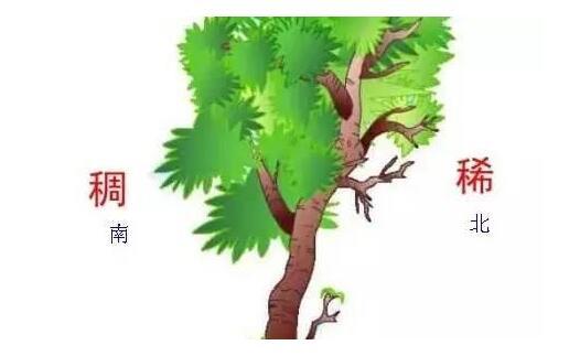 如果有一天,你在荒郊野外迷失了方向,在这种情况下,你千万不要慌张,你