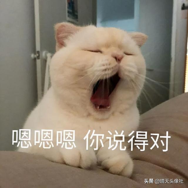 表情包啊啊啊，微信头像，表情包啊啊啊（表情包 ， 女孩就要酷一点）