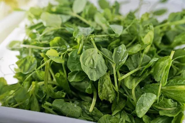 豆豉火锅怎么做,火锅底料怎么用豆豉(花花探店丨这家一年卖出14000锅) 豆豉火锅怎么做,火锅底料怎么用豆豉(花花探店丨这家一年卖出14000锅)