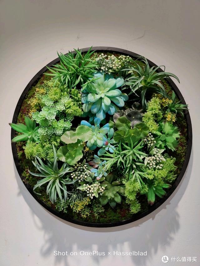 一加和oppo，一加手机是oppo的吗（谈谈我选择一加9Pro的购买取舍）