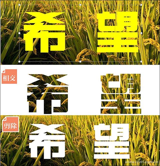 什么是 矢量字，什么是矢量控制?实现矢量控制的条件是什么（用布尔运算为PPT添特效）