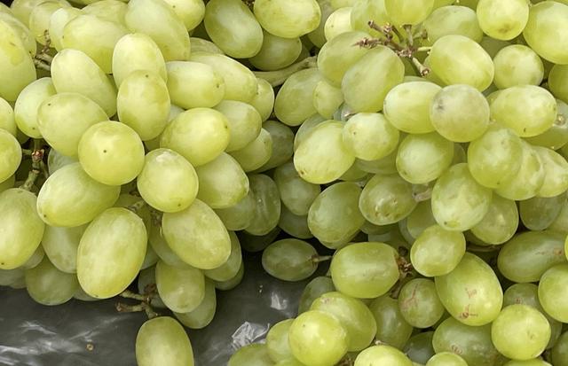 辽宁最穷十大城市排名，辽宁最穷的五个市（本溪、铁岭、阜新谁能在2019翻盘呢）