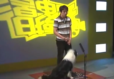 梦见尿血了什么预兆，梦见尿血什么意思（11年前的导演累到尿血）