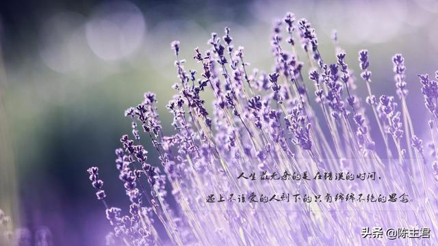 表达心累又无奈的说说，压抑憋屈的心情说说（伤感心累无奈的说说）