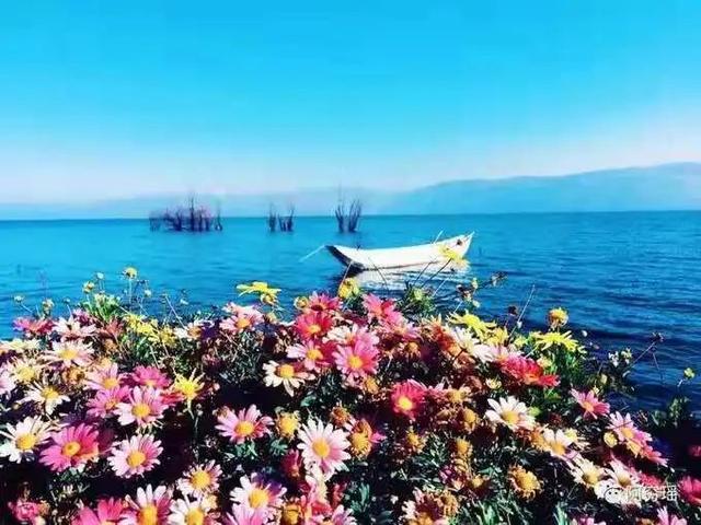 上关花下关风苍山雪洱海月是什么意思，上关风下关花苍山雪洱海月下一句（即“下关风、上关花、苍山雪、洱海月”）