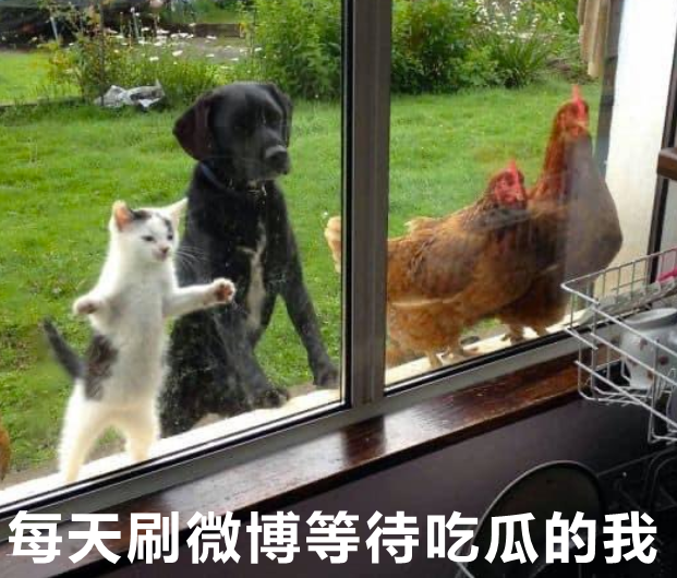 游戏昵称骚而不俗的，骚而不俗的游戏昵称有哪些（都死于“如何起个骚网名”）