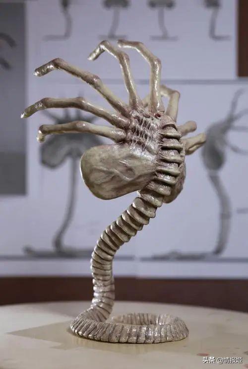 猎头蟹的已知种类，猎头蟹的已知种类是什么（从“异形之父”汉斯·鲁道夫·吉格尔）