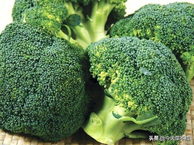 西兰花黄了可以吃不，西兰花变色了还能吃吗（还原翠绿本色还去虫卵）