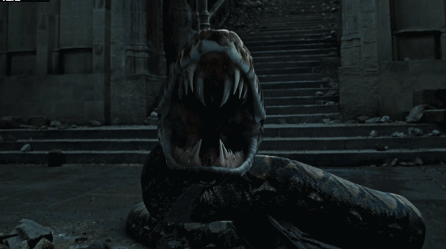 哈利为什么不能娶赫敏，赫敏最后恢复了父母的记忆吗（哈利波特为何没有跟赫敏在一起）