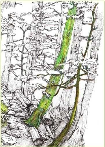 马克笔绘画教程风景画，马克笔绘画教程入门（适合初学者学习的彩铅风景画步骤教程）