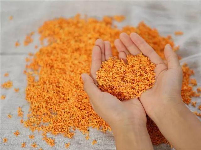 不锈钢盆可以放烤箱吗，烤箱里可以放不锈钢盆吗（10种花最养人）