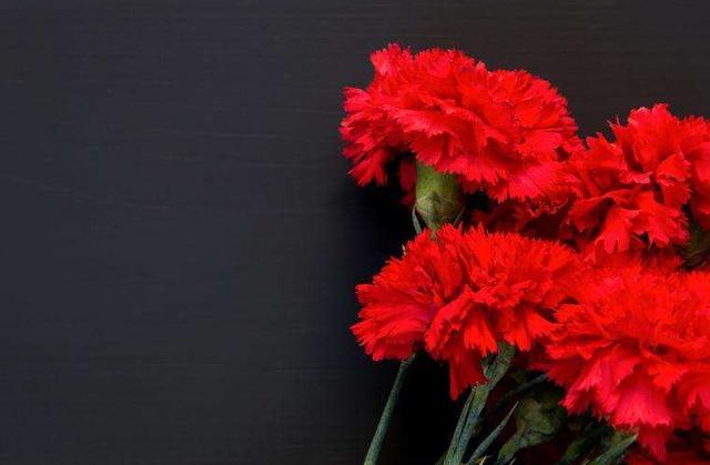 天堂鸟花语，天堂鸟花图片（你知道大自然中这些花的花语吗）