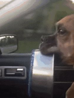 冲凉是什么意思，洗白白是什么意思（微微一笑很倾城：沐浴啥意思）