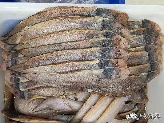 巴沙鱼和龙利鱼的区别，巴沙鱼和龙利鱼区别（谈谈龙利鱼和巴沙鱼）