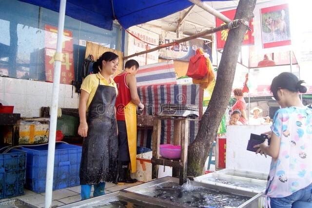 菜市场常见四种鱼图鉴：多宝鱼等你来识，买鱼不踩坑！